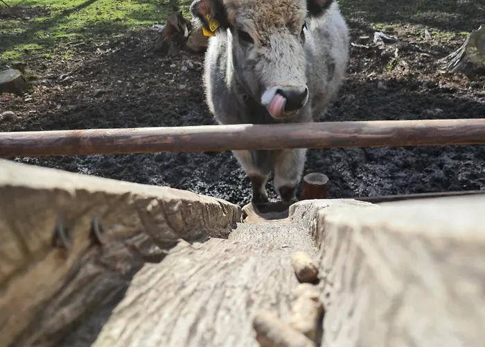 Marewa Ferien * Mechernich