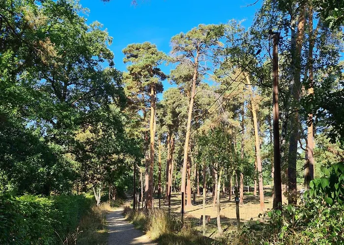 Lejlighed Marewa Ferien